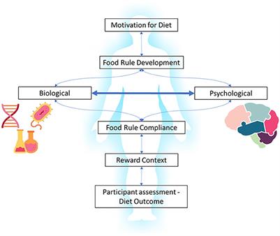 My Diet Study: protocol for a two-part observational, longitudinal, psycho-biological study of dieting in Australian youth